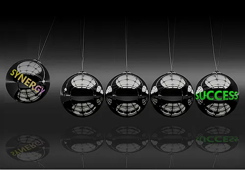 Leverage Media Synergy to Accelerate Efficient Brand Growth