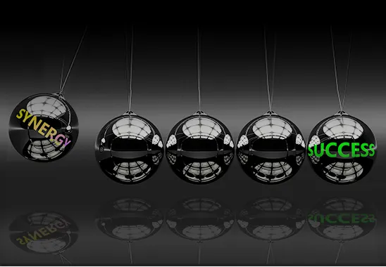 Leverage Media Synergy to Accelerate Efficient Brand Growth