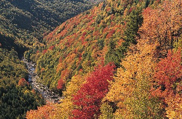 Cover image for article: It's Autumn and Change is in the Air - Cory Treffiletti - MediaBizBlogger