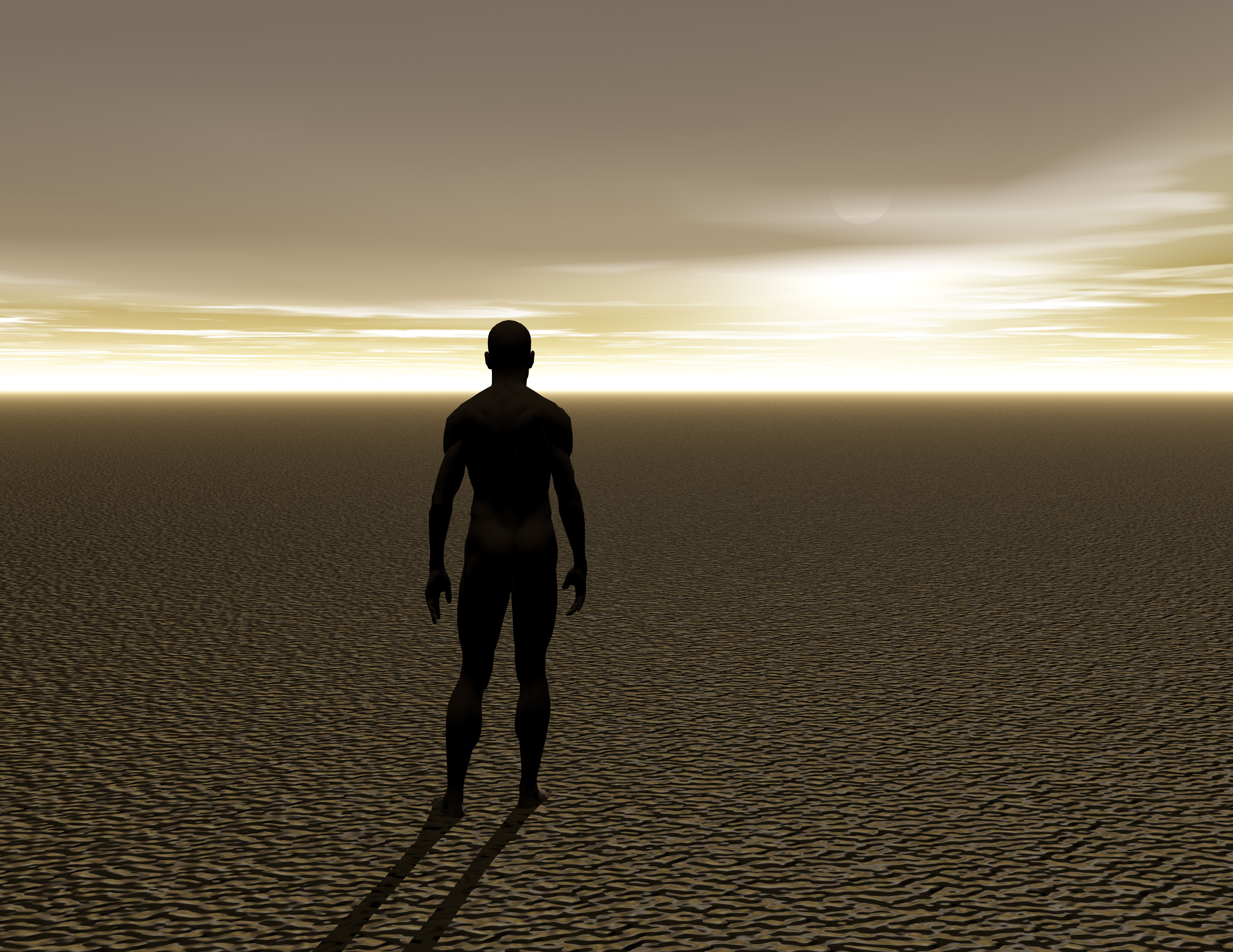 Cover image for  article: Nowhere to Turn: News Business is History After Election Coverage