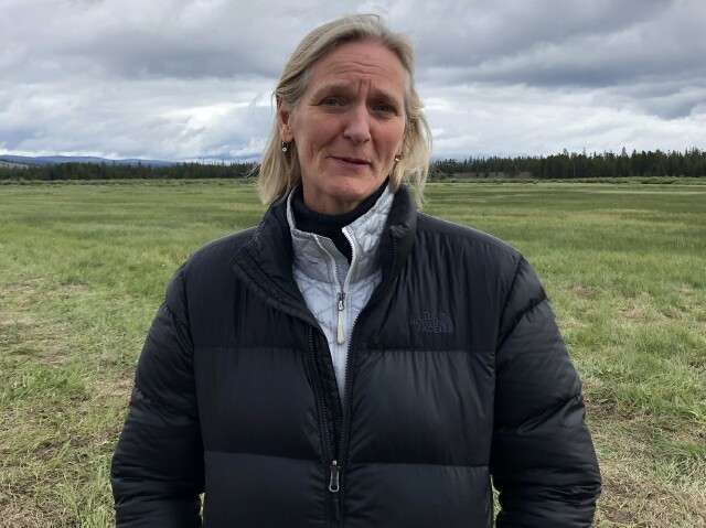 Cover image for  article: On Location with EP Martha Holmes at Nat Geo's "Yellowstone Live"
