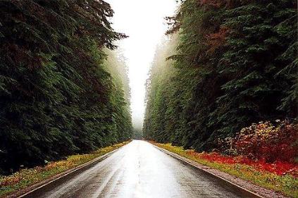 Cover image for  article: Walking the Talk: Great Expectations - The Brothers Einstein - MediaBizBlogger