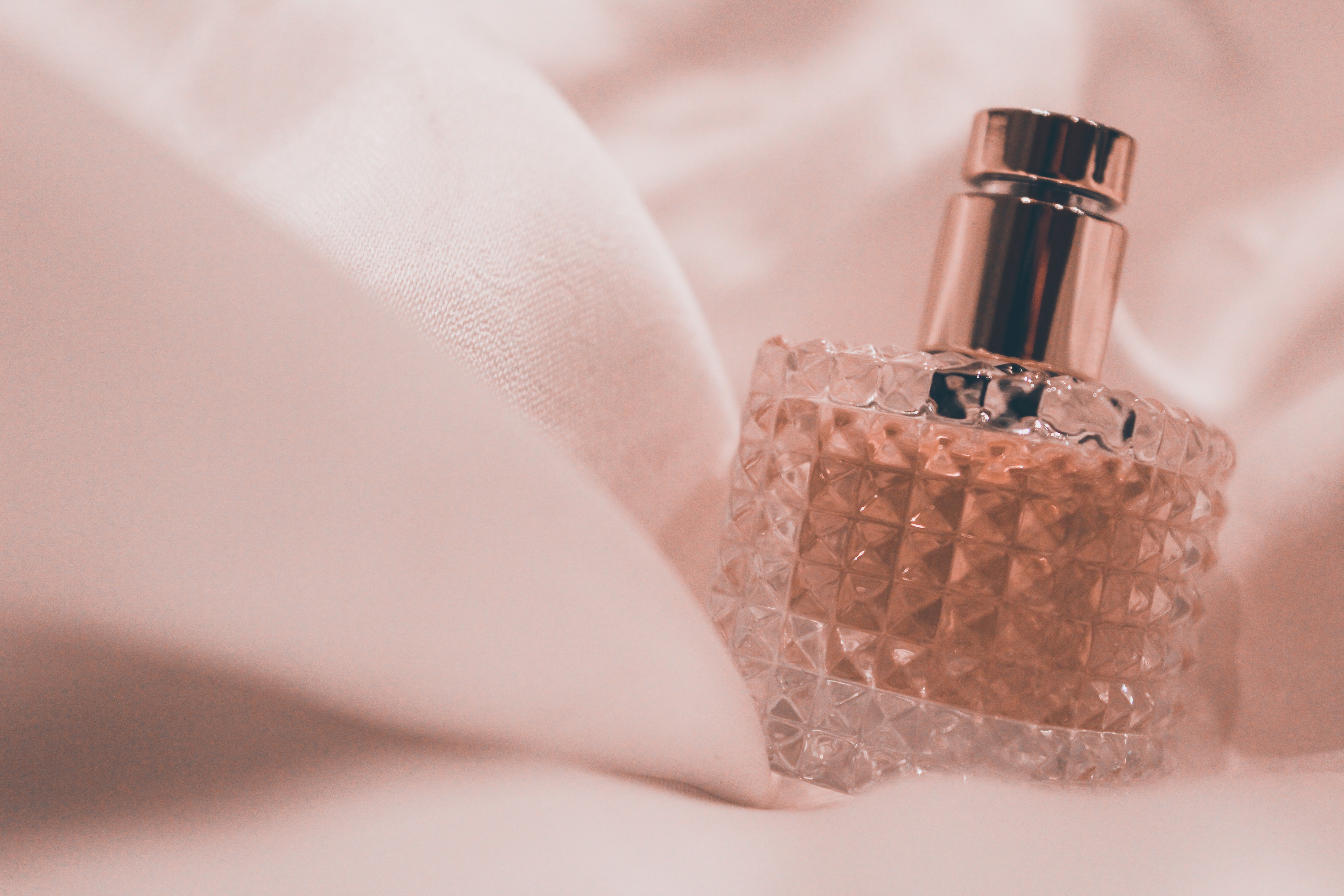 Cover image for  article: Even in an At-Home World, Fragrance Still Comes Up Roses