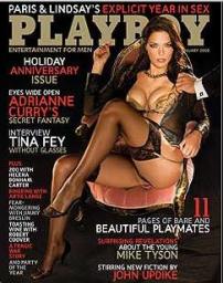 Cover image for  article: Web Embodies Total "Playboy" Brand Experience