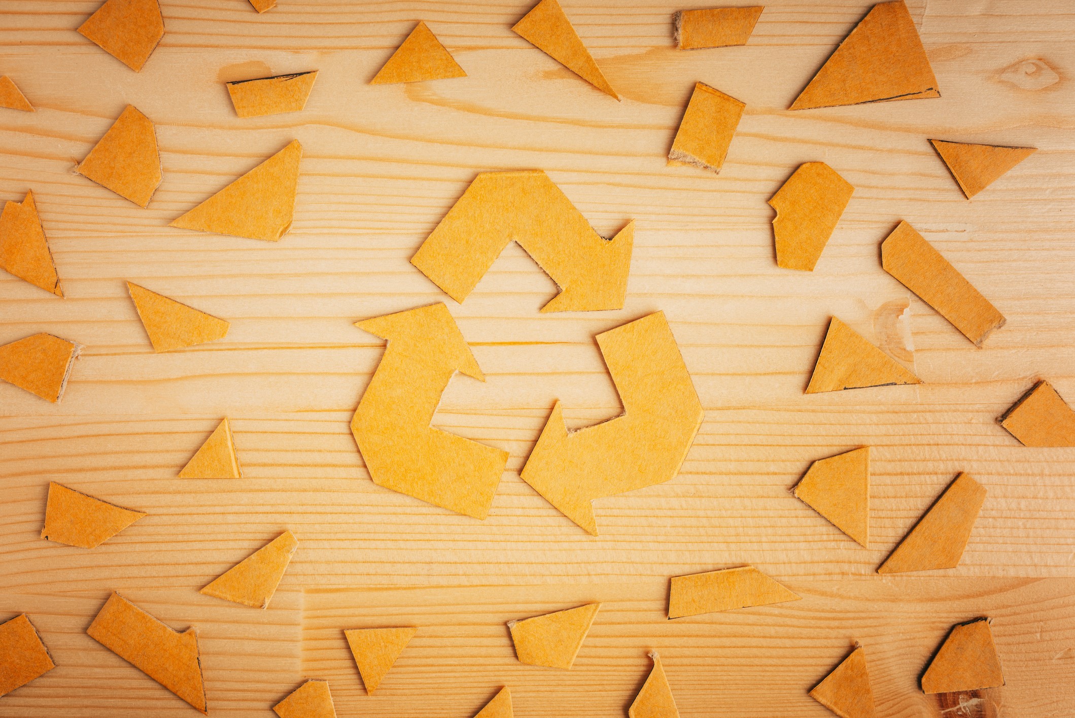 Cover image for article: Hearst Considers the Future of Eco-Conscious Living