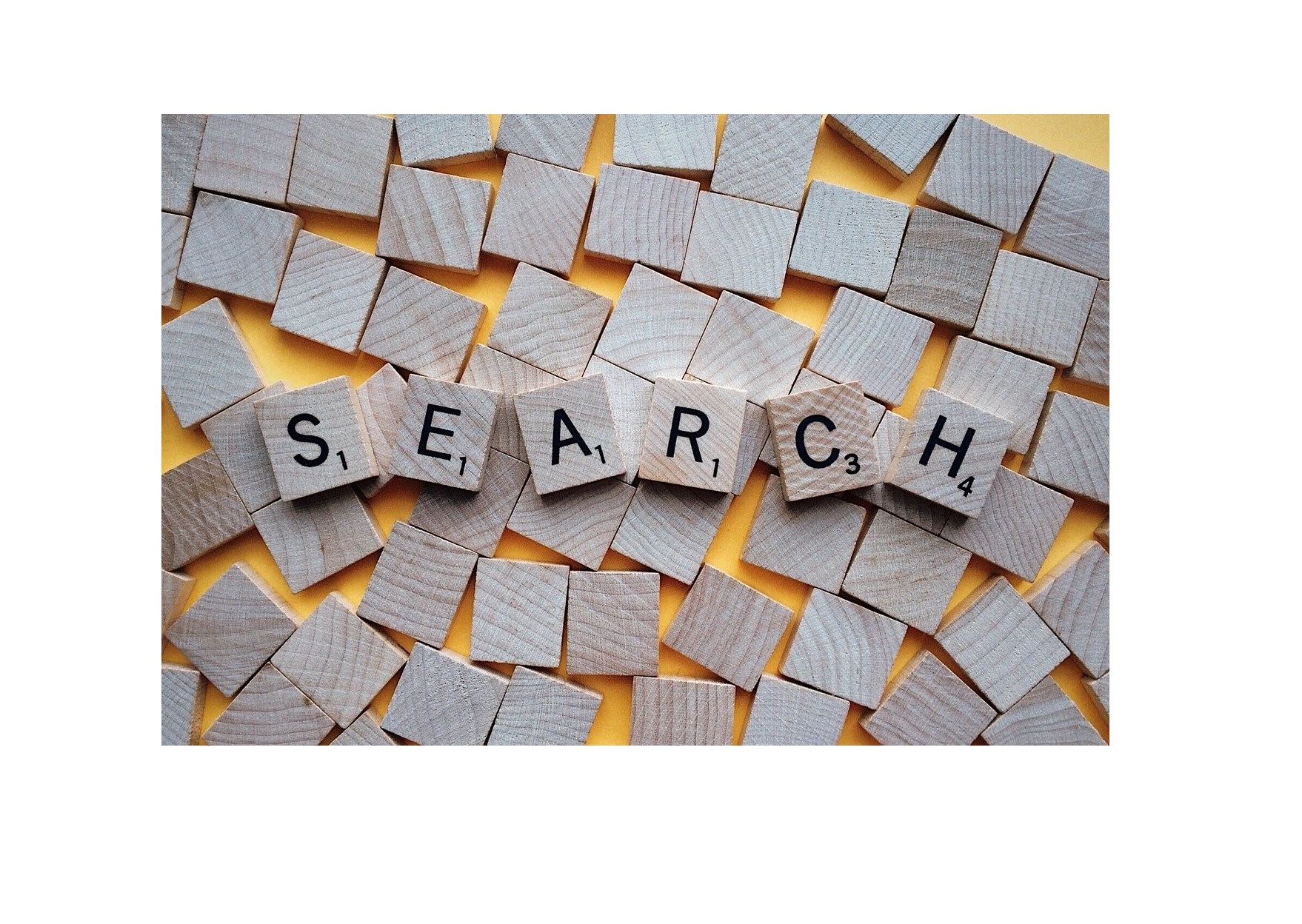 Cover image for article: Full-Funnel, "Portal" Search Remains Resilient