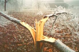 Cover image for article: It's Time to Split Planning from Buying – Brian Jacobs