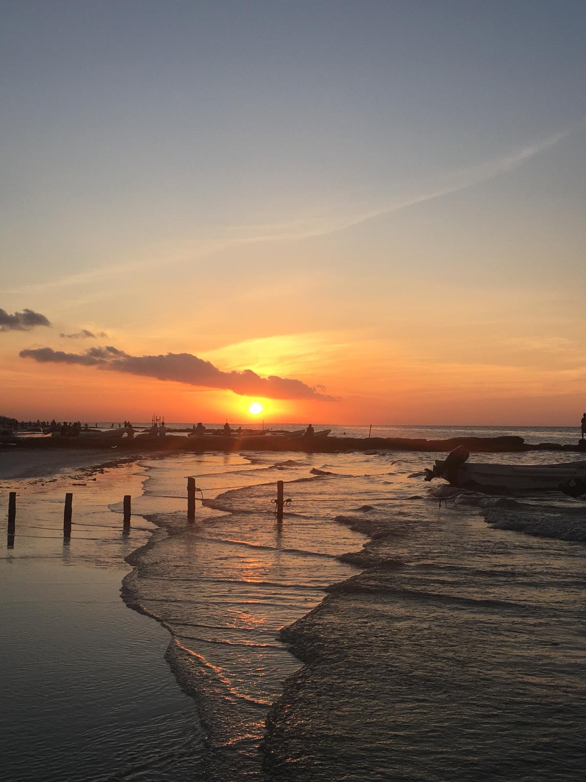 Cover image for  article: Spotify Wrapped Me in Music, But I Want More