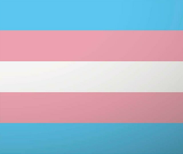 Cover image for  article: How Companies Have Responded to Anti-Trans Bills Nationwide