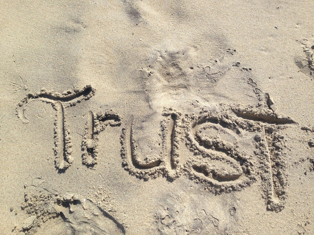 Cover image for  article: Transparency, Cannes and Trust