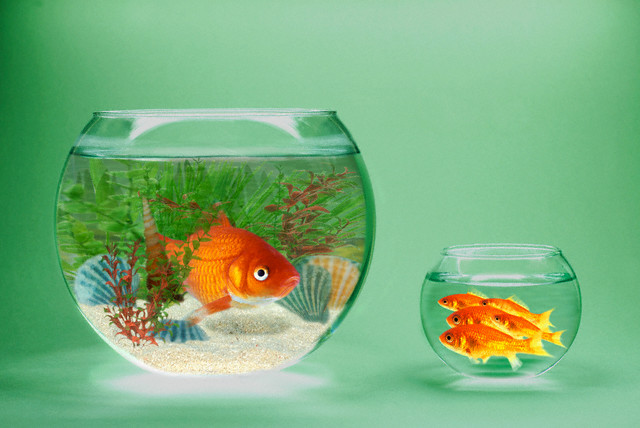 Cover image for article: This is the Wealth Inequality Election