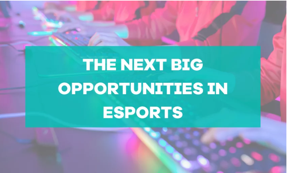 Cover image for  article: The Next Big Opportunities in Esports