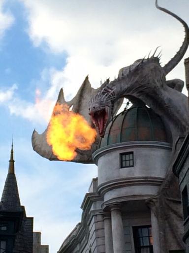 Harry+Potter+Dragon+Fire