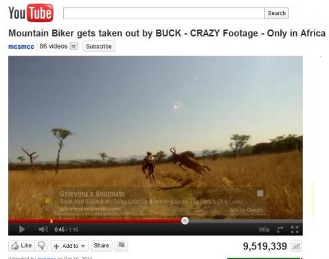 Buck+attack+in+Africa